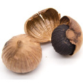 Fast Supply Organic Black Garlic Price